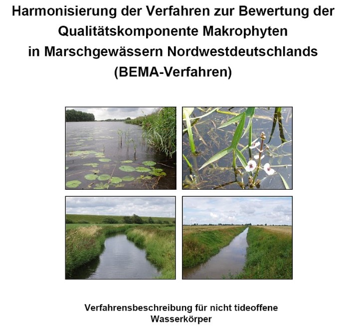 gutes Gutachten.. gutes Gutachten..
